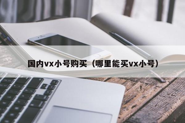 国内vx小号购买（哪里能买vx小号）
