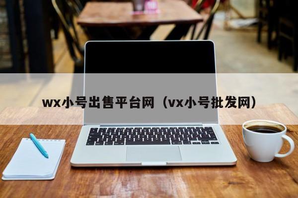 wx小号出售平台网（vx小号批发网）