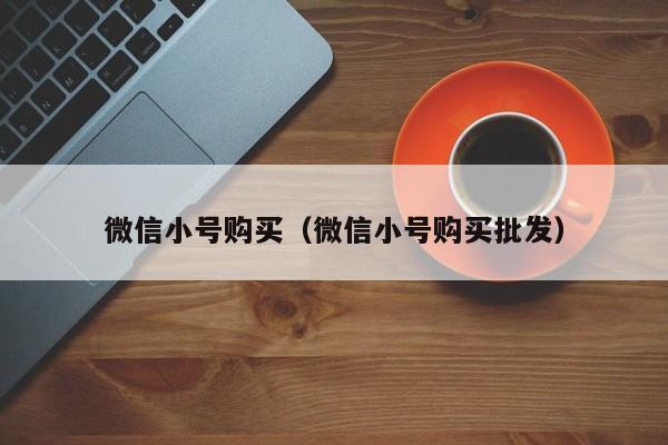 微信小号购买（微信小号购买批发）