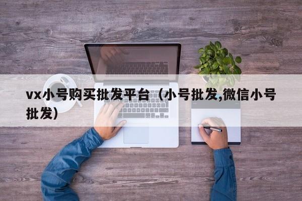 vx小号购买批发平台（小号批发,微信小号批发）