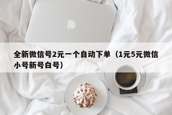 全新微信号2元一个自动下单(1元5元微信小号新号白号)