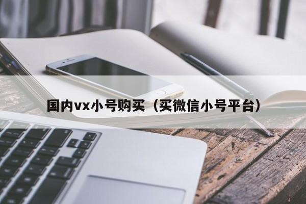国内vx小号购买（买微信小号平台）