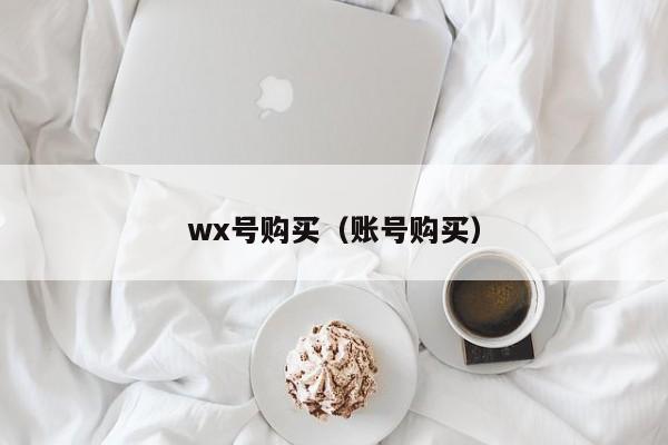 wx号购买(账号购买)