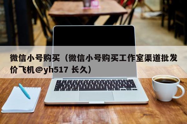 微信小号购买（微信小号购买工作室渠道批发价飞机@yh517 长久）