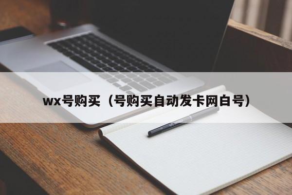 wx号购买（号购买自动发卡网白号）