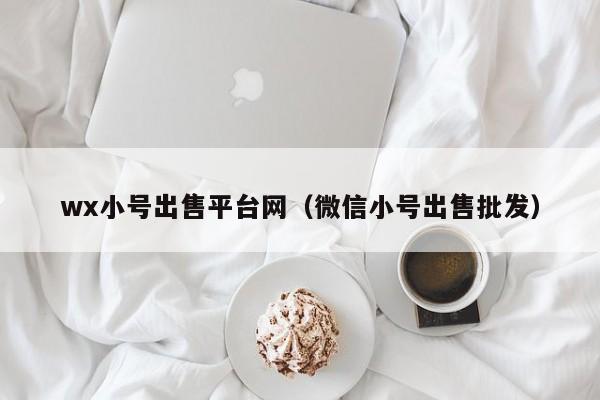 wx小号出售平台网（微信小号出售批发）