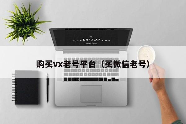 购买vx老号平台(买微信老号)