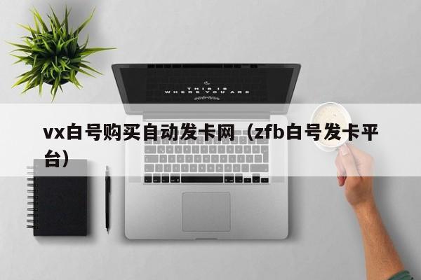 vx白号购买自动发卡网（zfb白号发卡平台）